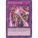 Apex Predation