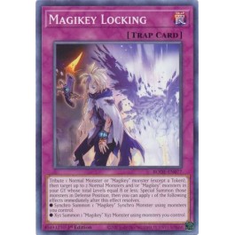 Magikey Locking
