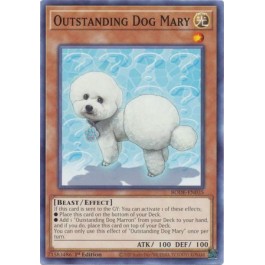 Outstanding Dog Mary