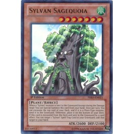 Sylvan Sagequoia