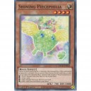 Shining Piecephilia