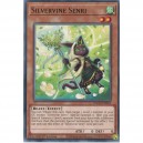 Silvervine Senri
