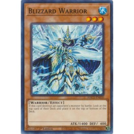 Blizzard Warrior