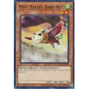 Mist Valley Baby Roc