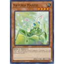 Naturia Mantis