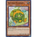 Naturia Pumpkin
