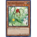 Naturia Rosewhip