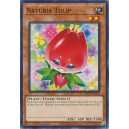 Naturia Tulip