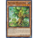 Naturia White Oak