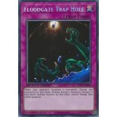 Floodgate Trap Hole