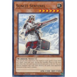 Sunlit Sentinel