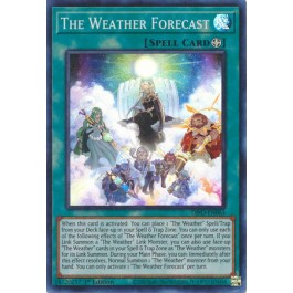 The Weather Forecast