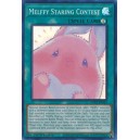Melffy Staring Contest