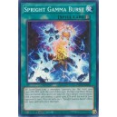 Spright Gamma Burst