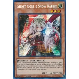 Ghost Ogre & Snow Rabbit