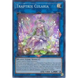 Traptrix Cularia