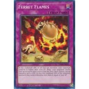 Ferret Flames