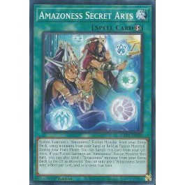 Amazoness Secret Arts