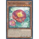 Naturia Camellia