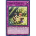 Mikanko Promise