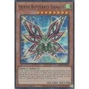 Queen Butterfly Danaus