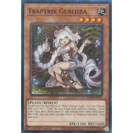 Traptrix Genlisea