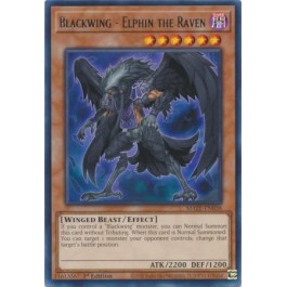 Blackwing - Elphin the Raven