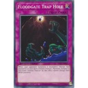 Floodgate Trap Hole