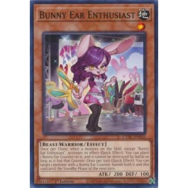 Bunny Ear Enthusiast