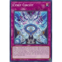 Cynet Circuit