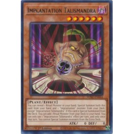 Impcantation Talismandra