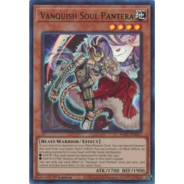 Vanquish Soul Pantera