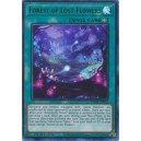 Forest of Lost Flowers