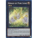 Herald of Pure Light