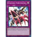 Synchro Forceback