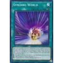 Synchro World