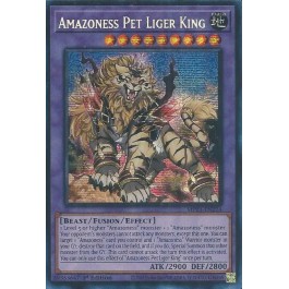 Amazoness Pet Liger King