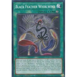 Black Feather Whirlwind
