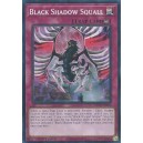 Black Shadow Squall