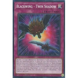 Blackwing - Twin Shadow