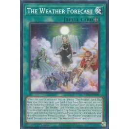 The Weather Forecast