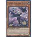 Tobari the Sky Ninja