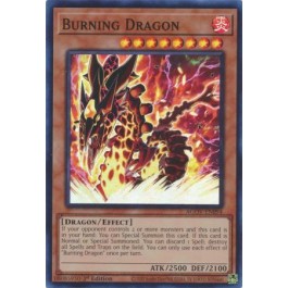 Burning Dragon