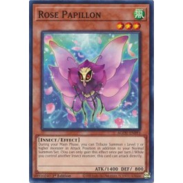 Rose Papillon