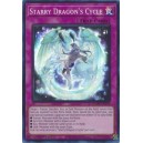 Starry Dragon's Cycle