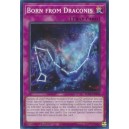 Born from Draconis
