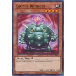 Cactus Bouncer