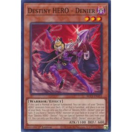 Destiny HERO - Denier