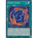 Fossil Fusion