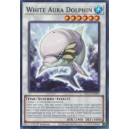 White Aura Dolphin